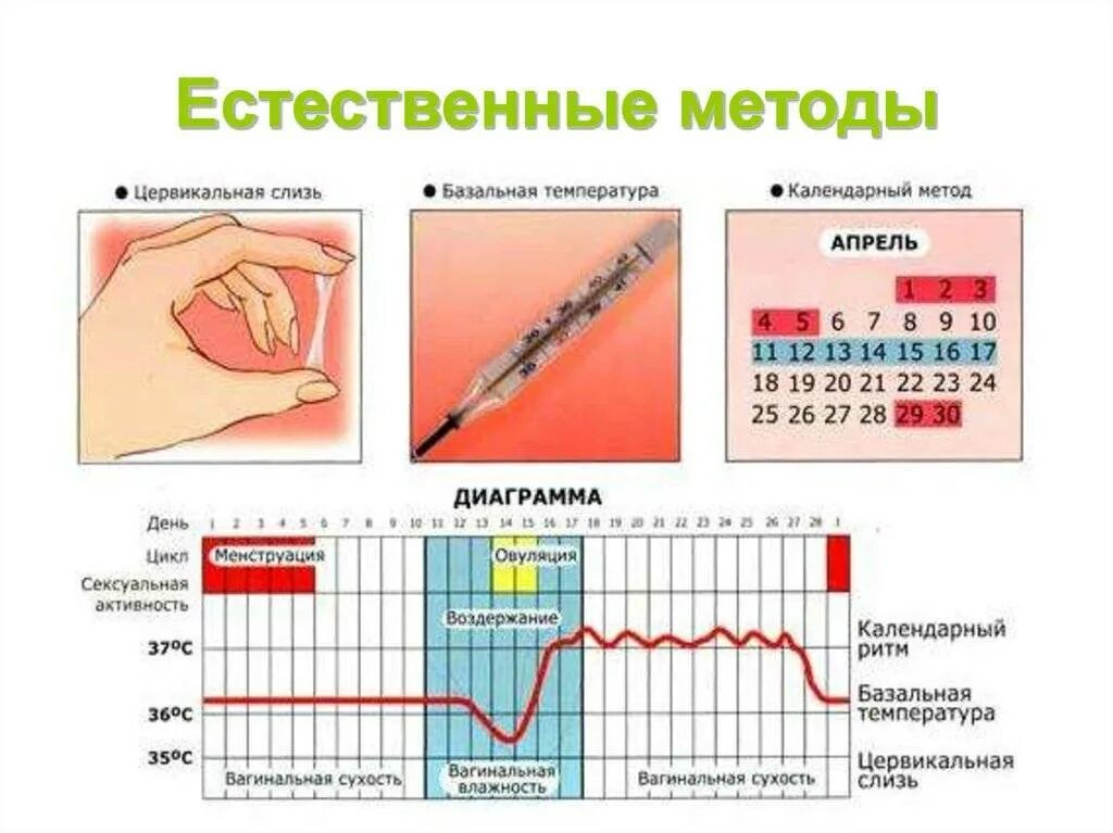 Месячный женщина сколько дней. Естественные методы контрацепции тест на овуляцию. Метод контрацепции измерение базальной температуры. Как определить овуляцию по циклу. Симптомы овуляции и фертильных дней.