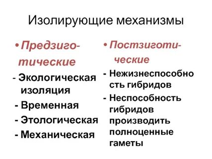Временная изоляция