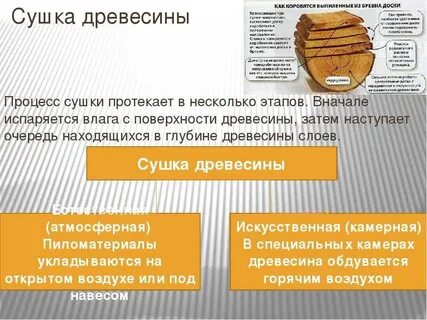 Технология сушки