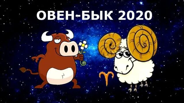 Овен бык. Овны 2020. Гороскоп Овен и бык. Рожденные в год быка и овна. Гороскоп овна быка