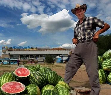 Продавец дынь