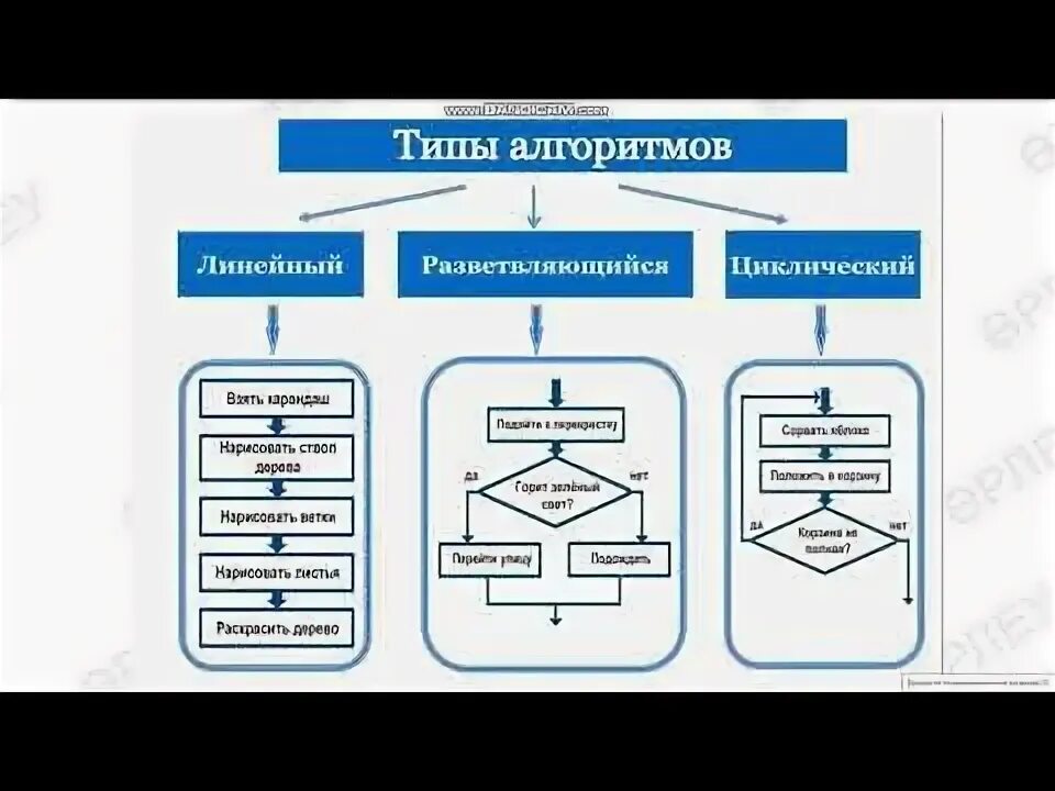 Тест 9 класс программирование. Алгоритмы и программирование Информатика 7 класс. Алгоритмика визуальное программирование. Способы изображения алгоритма на уроке пиктограммы. Классы в программировании простым языком.