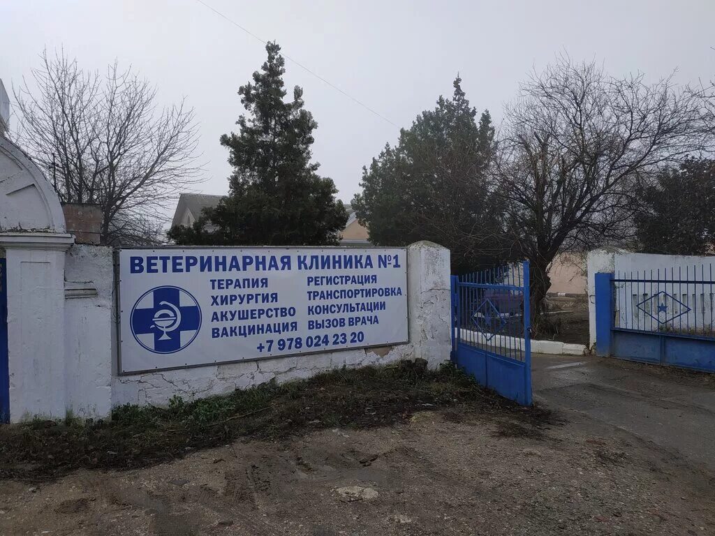 Интернет баннер ветеринарная клиника. Пошивальникова 52 керчь. Городская больница 1 керчь. Ветлечебница керчь. Октябрьский проспект 194 ветклиника.