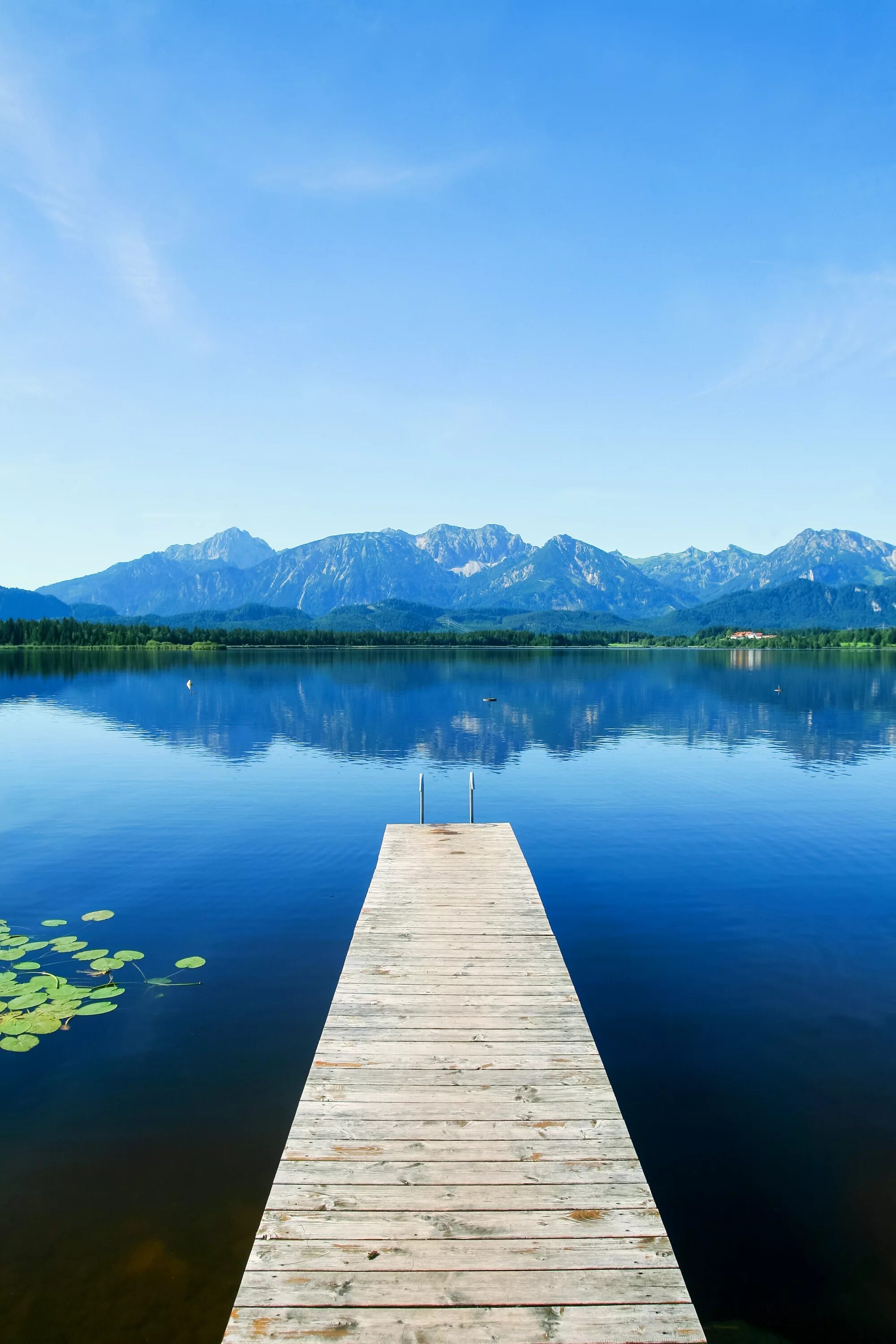 Lake download. Озеро Флатхед, США. Монтейн озеро. Озеро Рица. Озеро Флатхед прозрачность воды.