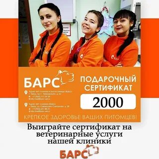 Барс тверь чайковского телефон