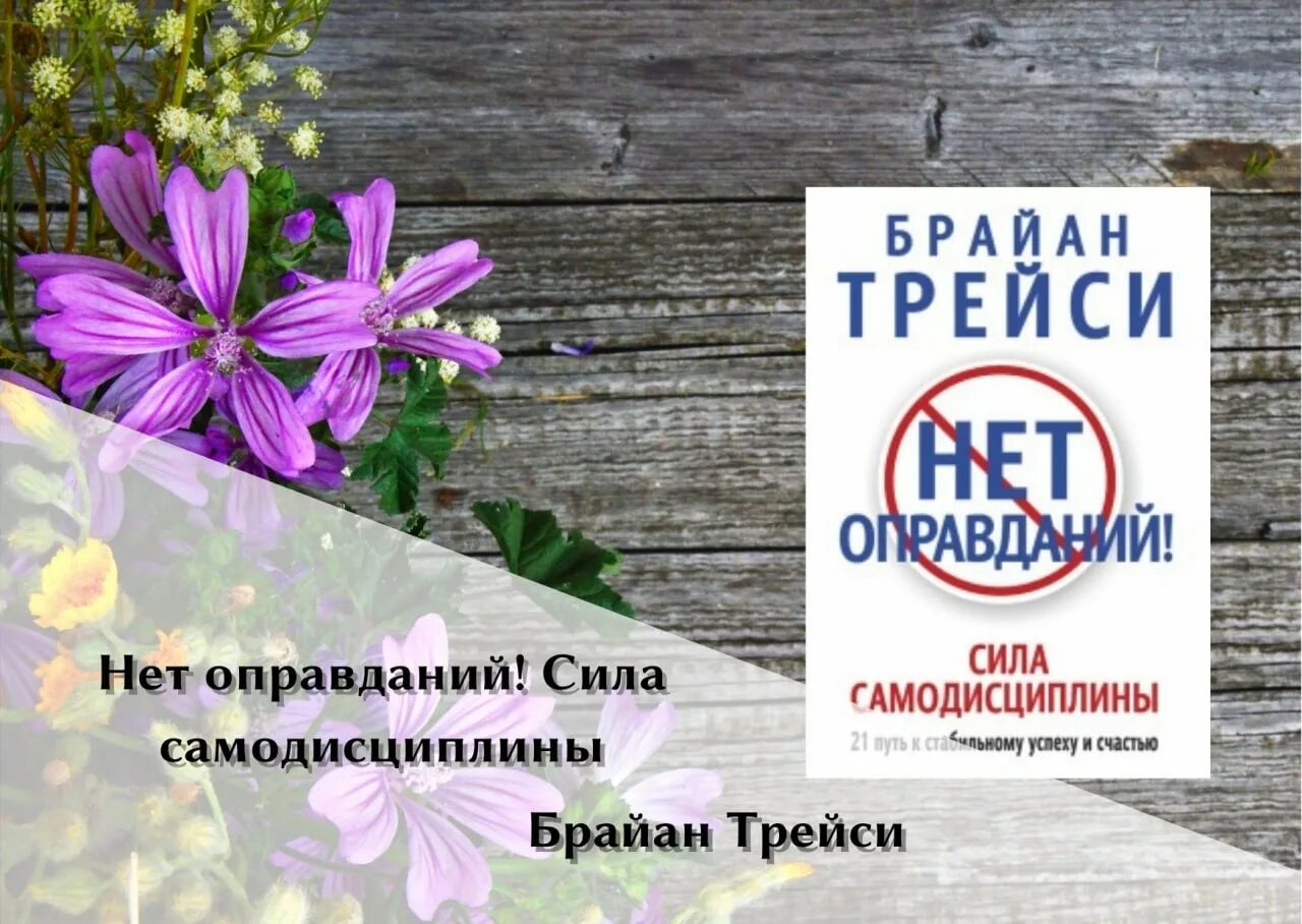 Брайан трейси нет оправданий сила. Брайан трейси нет оправданий сила