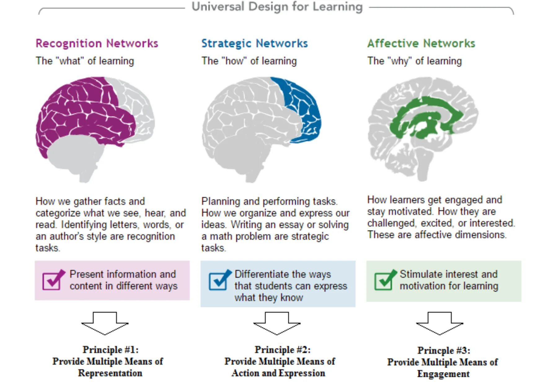 What to they know. Universal design for learning. universal design for learning (udl). «design for learning» книга. what is universal design.