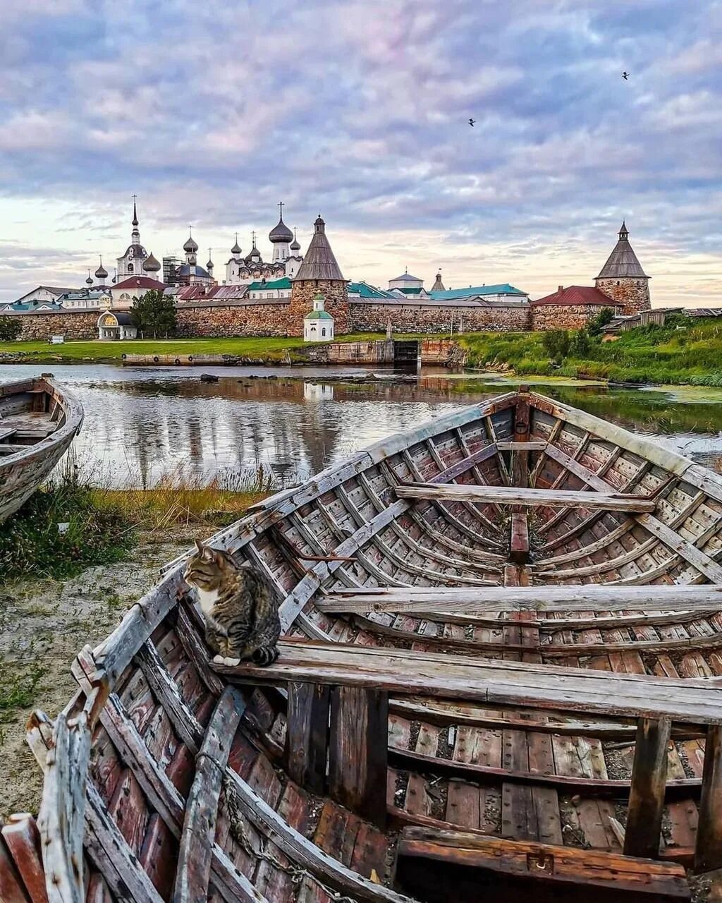 Соловецкий архипелаг (Архангельск). Соловецкие острова Карелия. Соловецкие острова Архангельская область. Остров Соловки Архангельск. Архангельск соловецкие острова