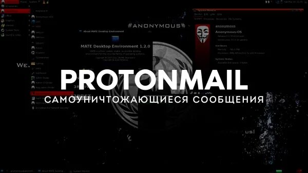 Анонимные системы. Анонимные системы