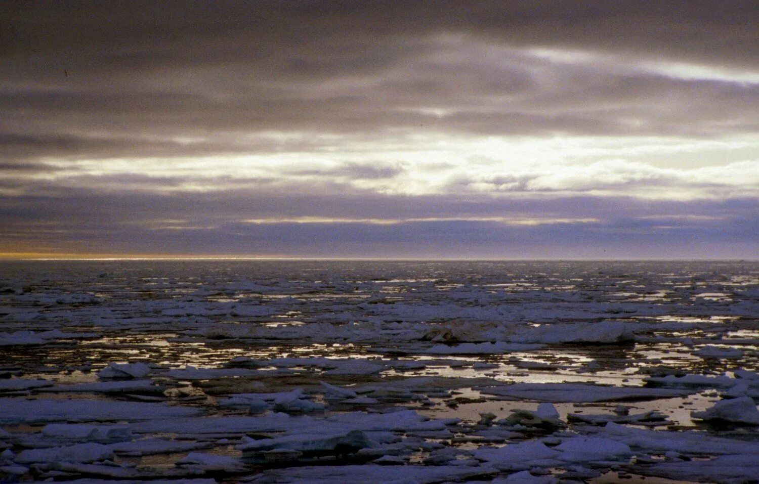Териберка Северный Ледовитый. Северно Ледовитый океан море Лаптевых. Балтийское море Северный Ледовитый океан. Белое море Северный Ледовитый океан.