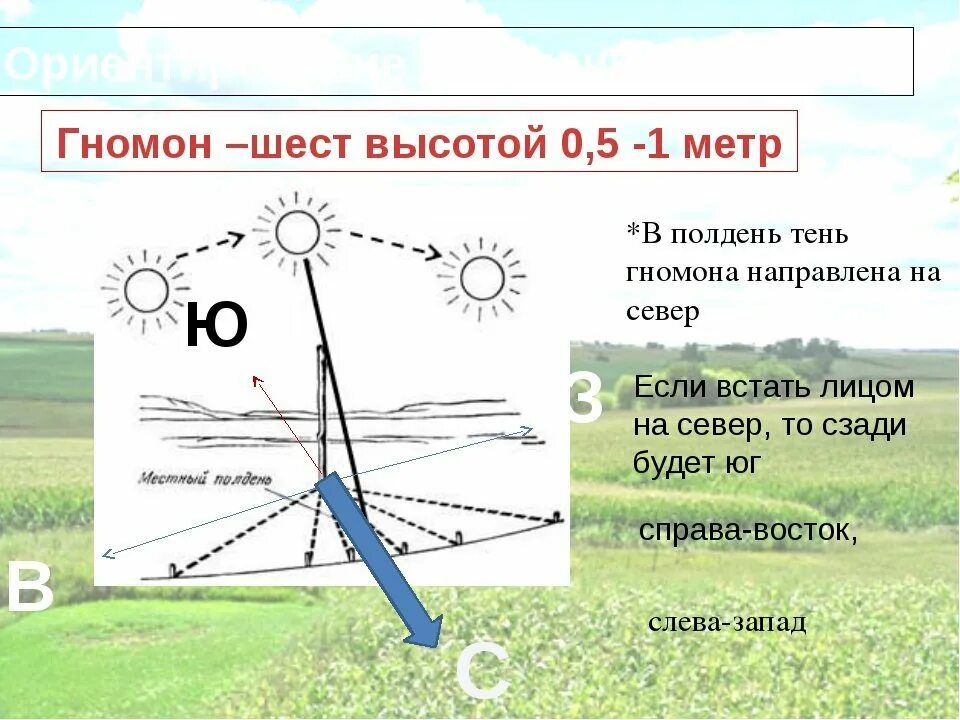 Определение направления днем. Ориентирование по местности по солнцу. Ориентирование на местности стороны горизонта. Ориентирование с помощью солнца. Ориентирование на местности по солнцу: солнечные часы.