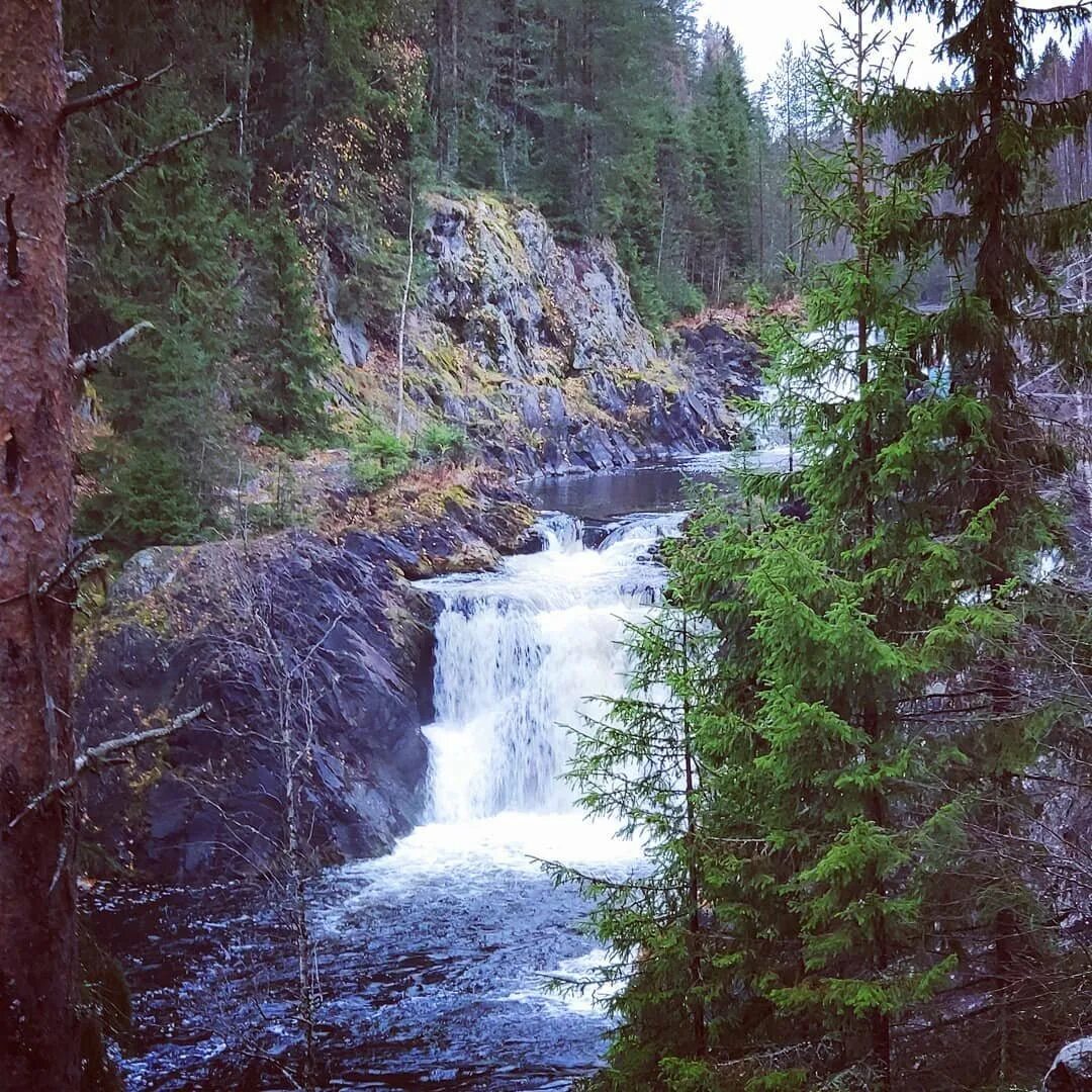 Водопады Ахвенкоски Карелия. Заповедник Кивач в Карелии. Водопад Кивач. Сортавала водопады Ахвенкоски. Водопад в карелии название