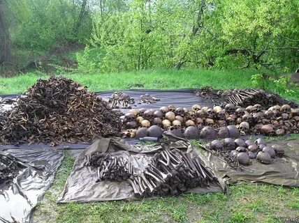 Мясной бор новгородская