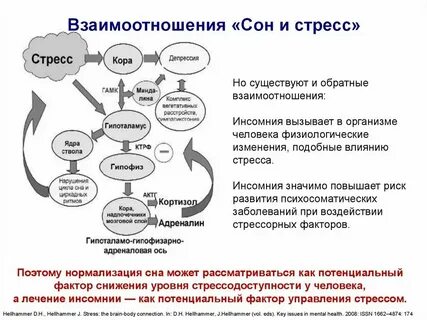 Факторы влияющие на уровень стресса