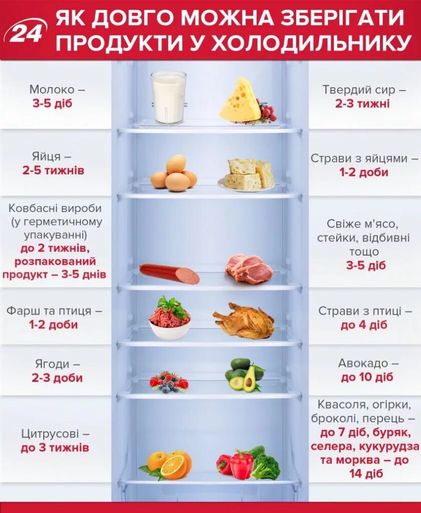 Сроки хранения готовых продуктов. Продукты в холодильнике список. Сроки хранения продуктов в холодильнике. Список продуктов в холодильнике. Продукты долго хранятся в холодильнике.