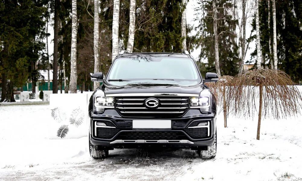 Гак с8. Gac gs8. gac gc8 2025. gac gs8 2016. гак гс8.