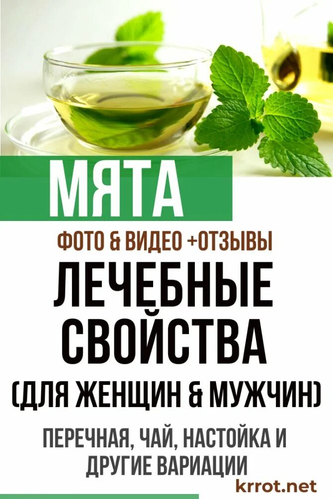 Мята чай для женщин. Мята лечебная. Чай с мятой полезен?. Противопоказания чая с мятой. Мята перечная для мужчин.