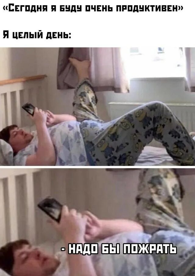 необычные новости смешные. смешные новости недели. смешные фото новости. смешные новости со всего. смешные новости со всего.