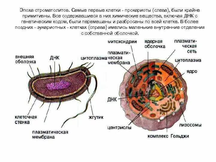 Хожу на клетку 1. Хожу на клетку 1