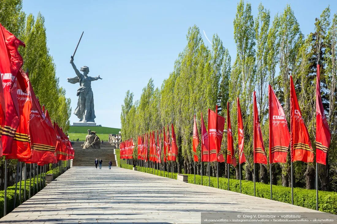 Мамаев Курган Волгоград аллея героев. Аллея тополей на Мамаевом Кургане. Аллея пирамидальных тополей Мамаев Курган. Мамаев Курган Сталинградская битва аллея героев.