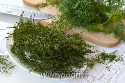 Как засушить зелень