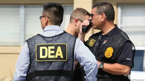 Dea msbreewc