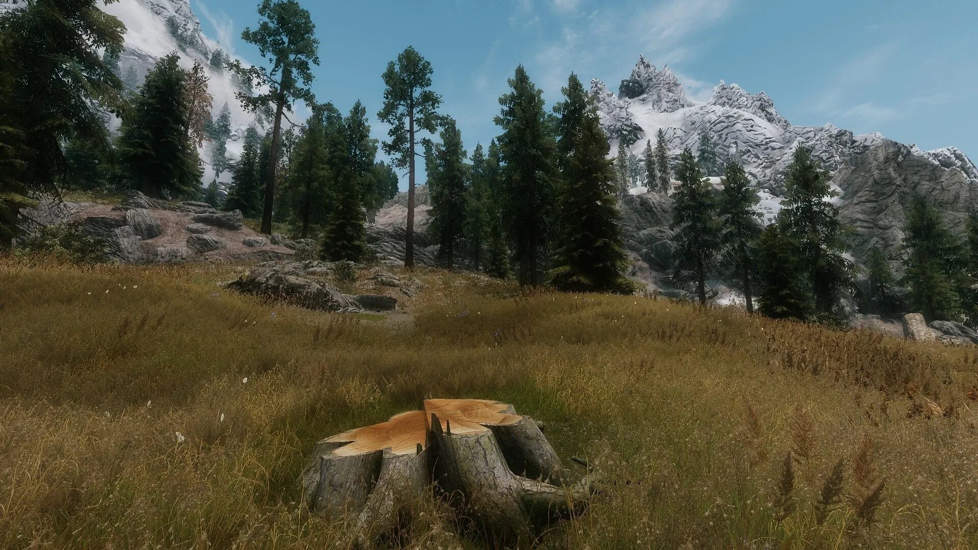 Skyrim se tweaks