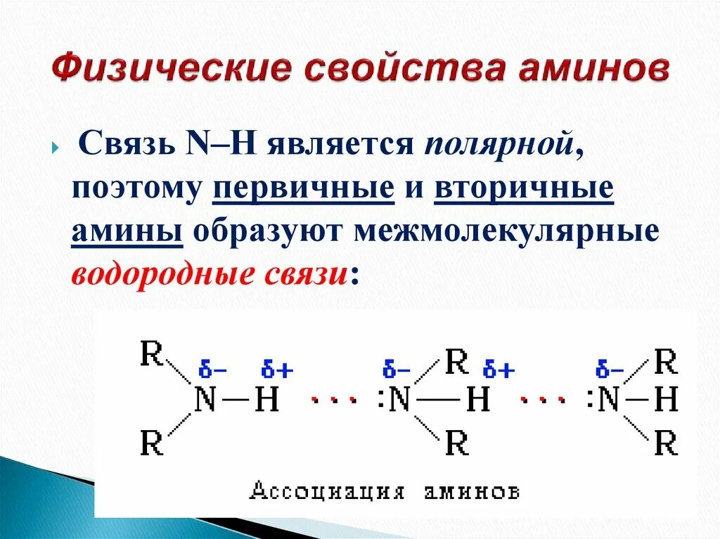 Амины являются соединениями