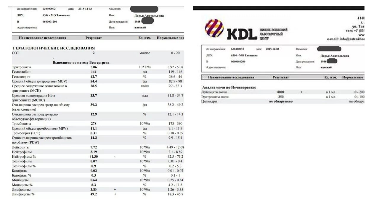 Кдл прайс анализов. КДЛ общий анализ крови норма. Результаты анализа крови КДЛ. Бланк анализов крови КДЛ. Биохимический анализ крови бланк КДЛ.