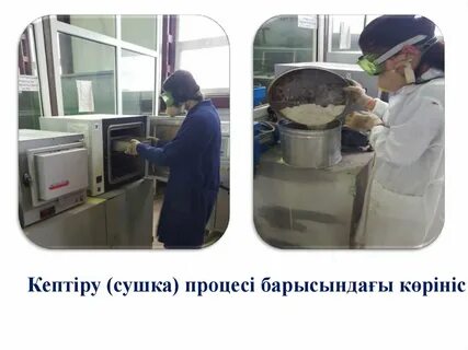 Құрбысын соруға үйретеді.