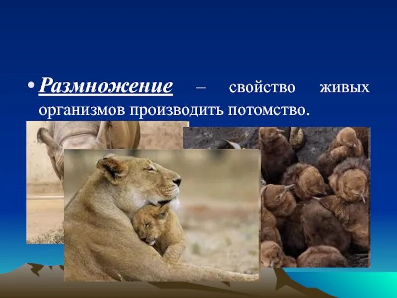 Способность давать плодовитое потомство