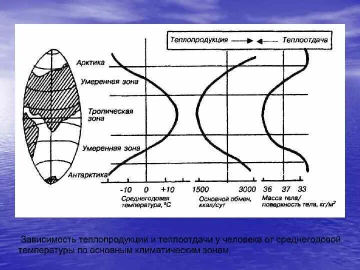 Адаптация к температуре. Адаптация к действию низкой температуры. Адаптация человека к температуре. .Адаптация к пониженным температурам.