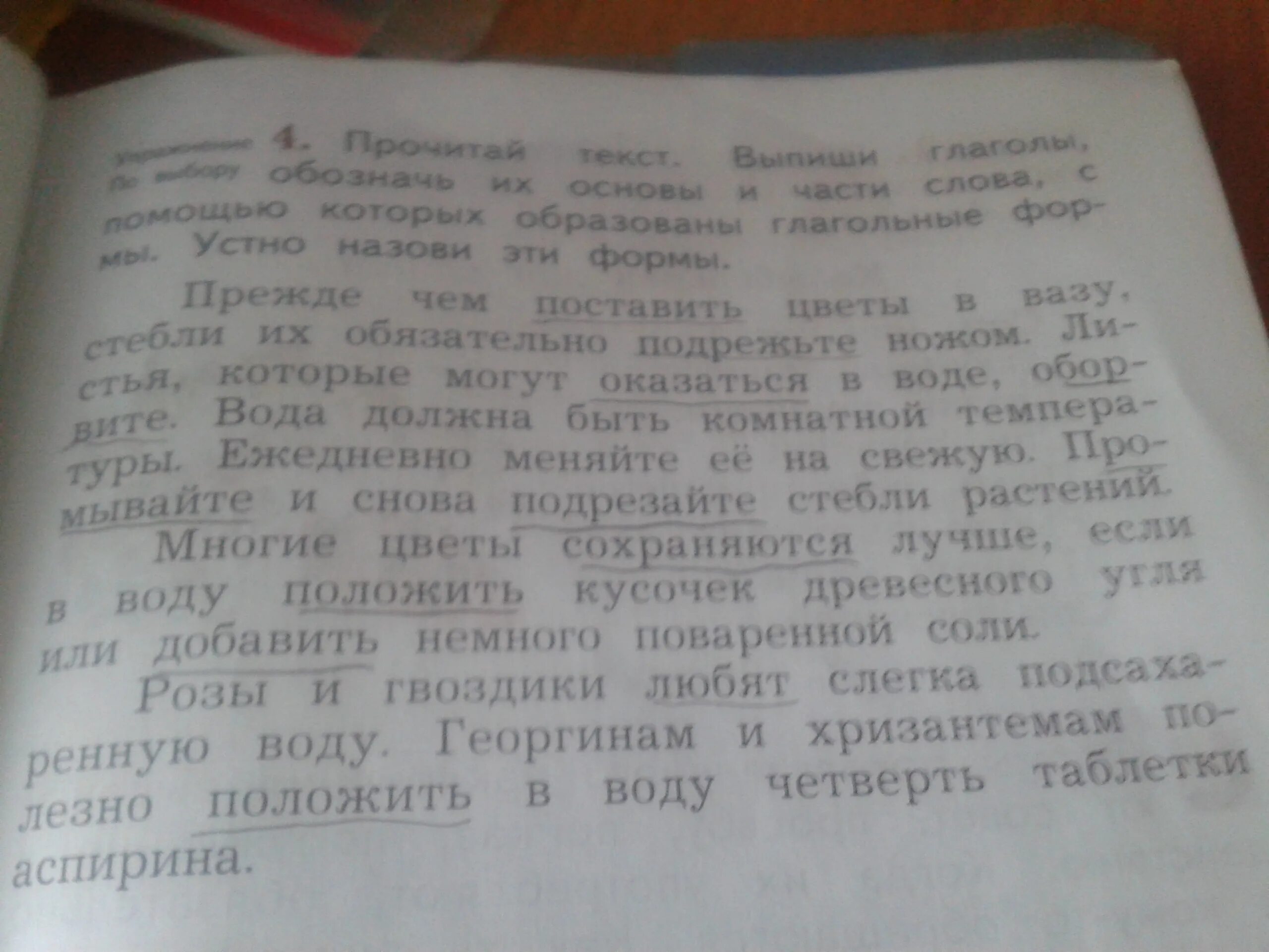 Прочитай текст выпиши синонимы устно попробуй. Прочитай текст выпиши г. Части слова с помощью которых образованы глагольные формы. Прочитай текст выпиши глаголы. Прочитайте текст выпишите глаголы определите их вид.