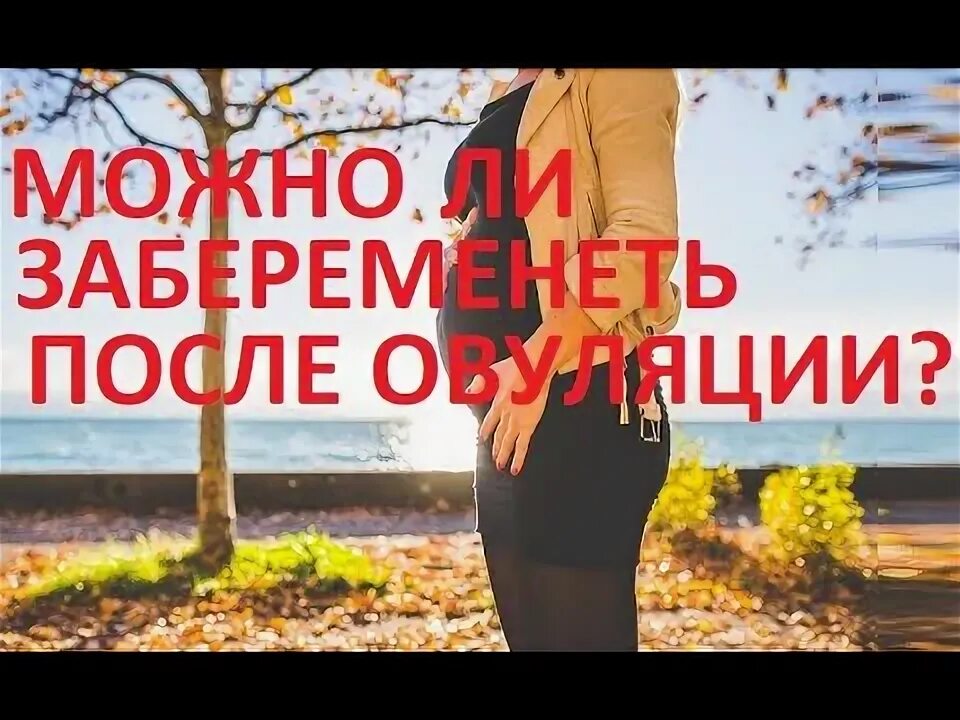 Как правильно посчитать цикл месячных пример. Фазы яичникового цикла. Безопасные дни. Овуляция день цикла. Принцип реальности.