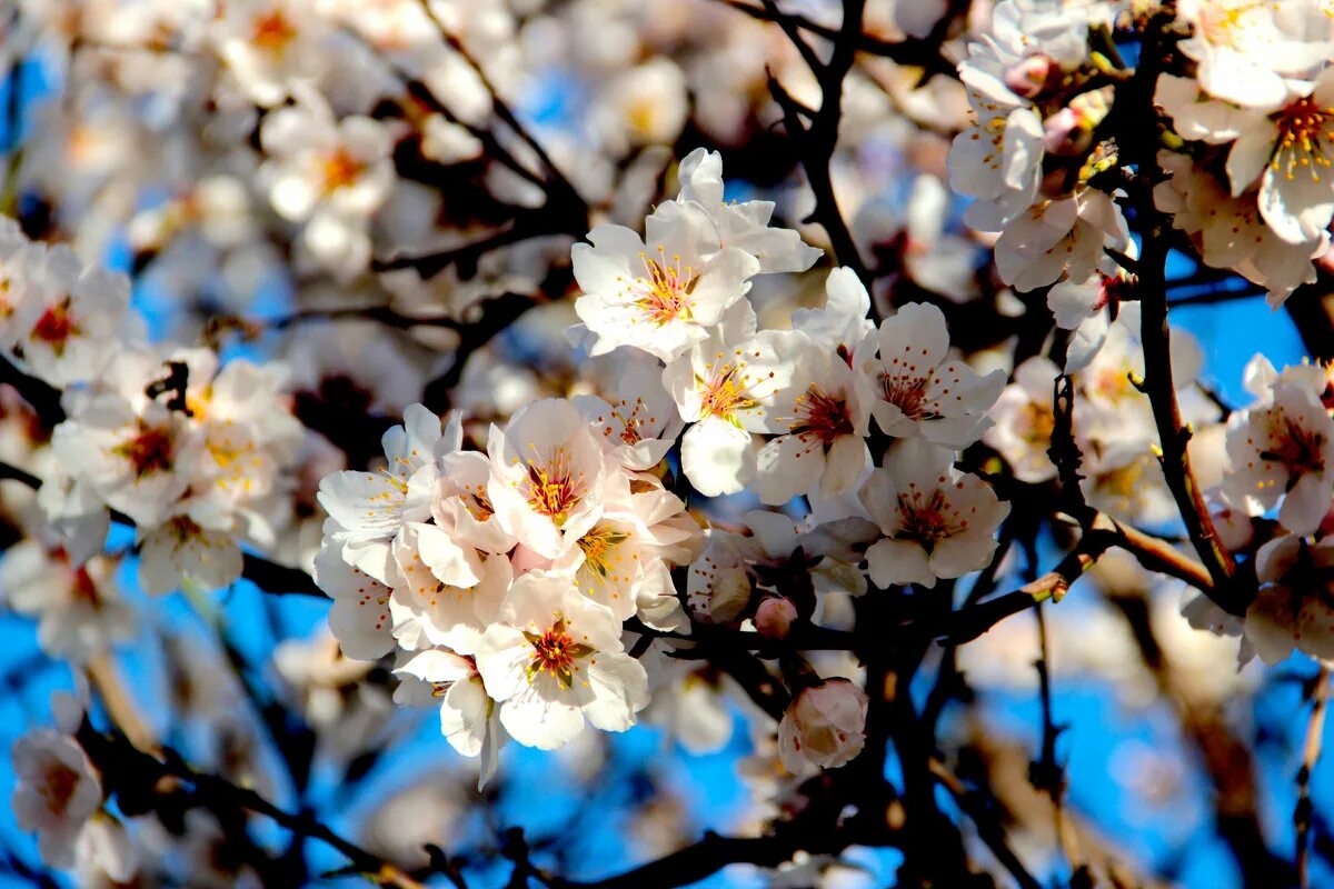 Весны 9. Ул весны 9 красноярск. Весны 9. Весны 9. Имена весной рожденные весной.