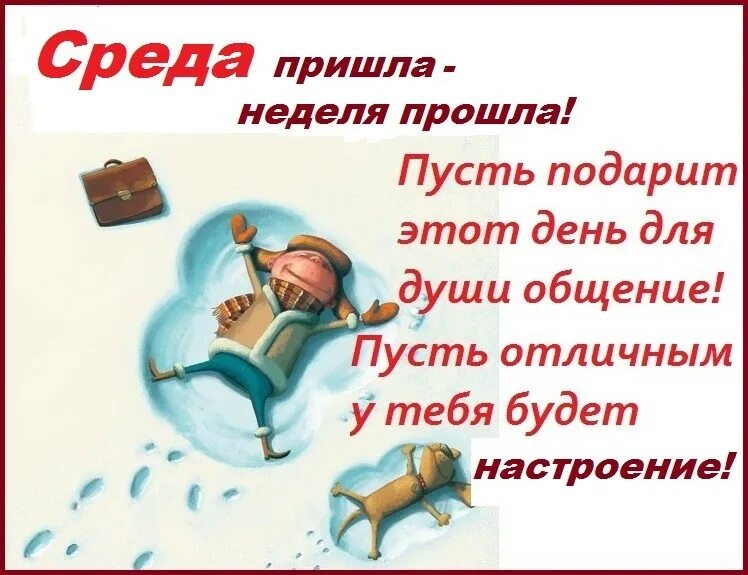 Смешные высказывания про среду. Цитаты про среду. Анекдот про среду. Фразы про среду прикольные.