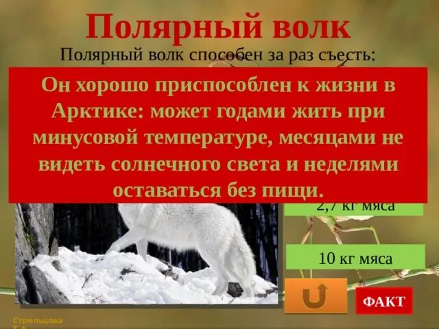 Полярный волк где находится на карте. Полярный волк Мирный ресторан. Полярный волк информация. Полярный волк Мирный меню. Полярный волк биологические факторы.