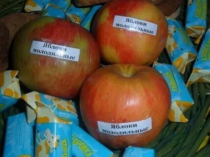 Яблоко отдам