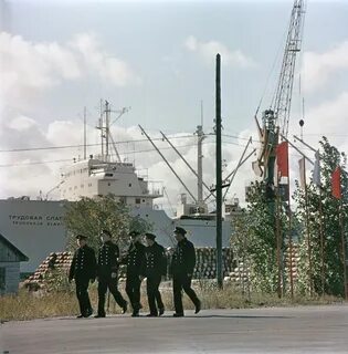 Год в порту