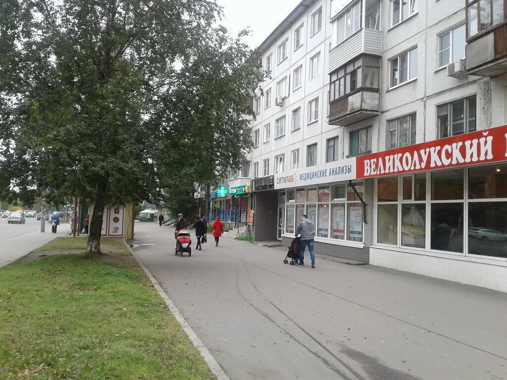 стоматологическая лаборатория. лаборатория деда мороза великий устюг. ул некрасова 20 великие луки. мегаклиника в великом новгороде. ситилаб великий новгород большая санкт-петербургская.