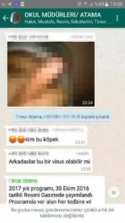 Telegram whatsapp 18