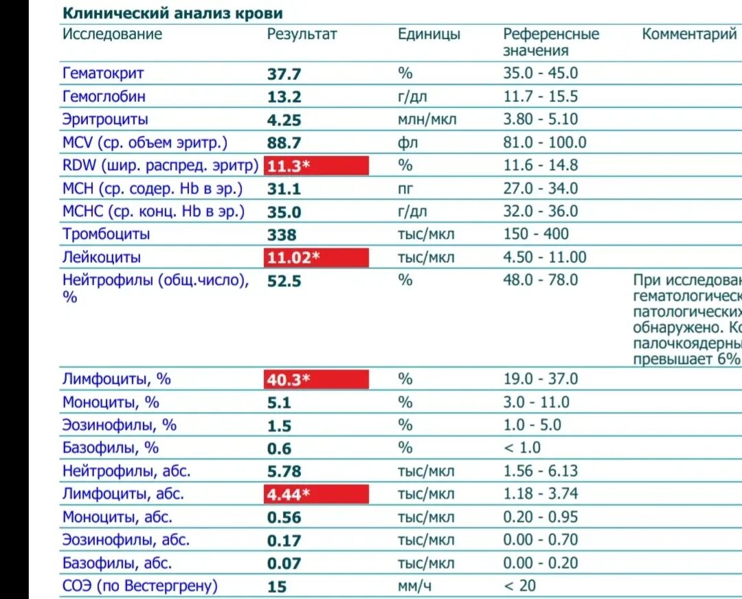 Анализы онкобольных. Анализ крови у онкологических больных. Как определить онкологию по клиническому анализу крови. Общий анализ крови онкобольного пример. Нормы анализов онкология