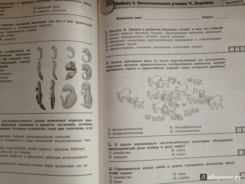 Диагностическая по биологии 8 класс. Биология диагностические тесты 8 класс ГИА Рохлов. Диагностические тесты биология 8 класс. 9 Класс диагностические тесты. ГИА тесты по биологии 8 класс.