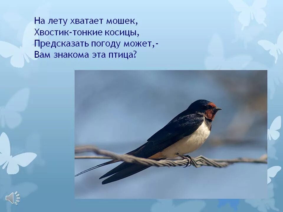 Конспект урока птицы 7 класс. Стихи про птиц. Урок про птиц в начальной школе. Стих про птиц 1 класс. Украшения птиц урок 1 класс.