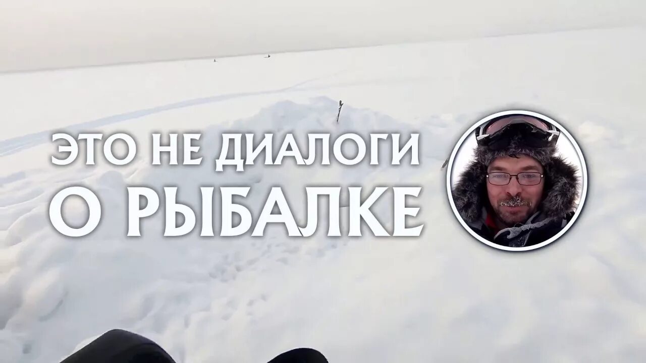 Это не диалоги. Это не диалоги о рыбалке. негативные отзывы о канале это не диалоги о рыбалке.