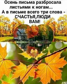 Осень листья разбросала