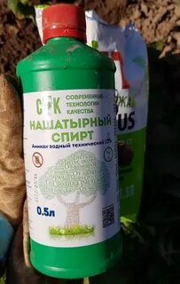 Азотные удобрения для клубники