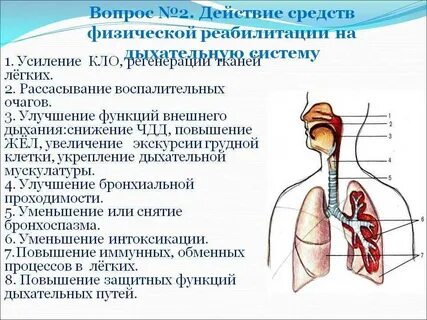 Отделение дыхания