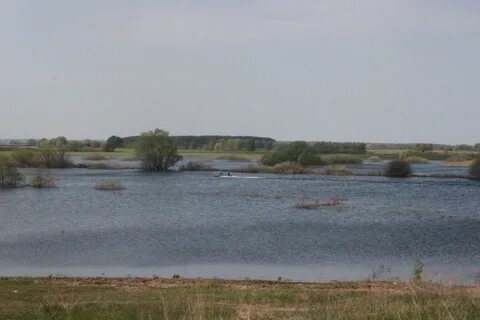 Засечье рязанская область спасский