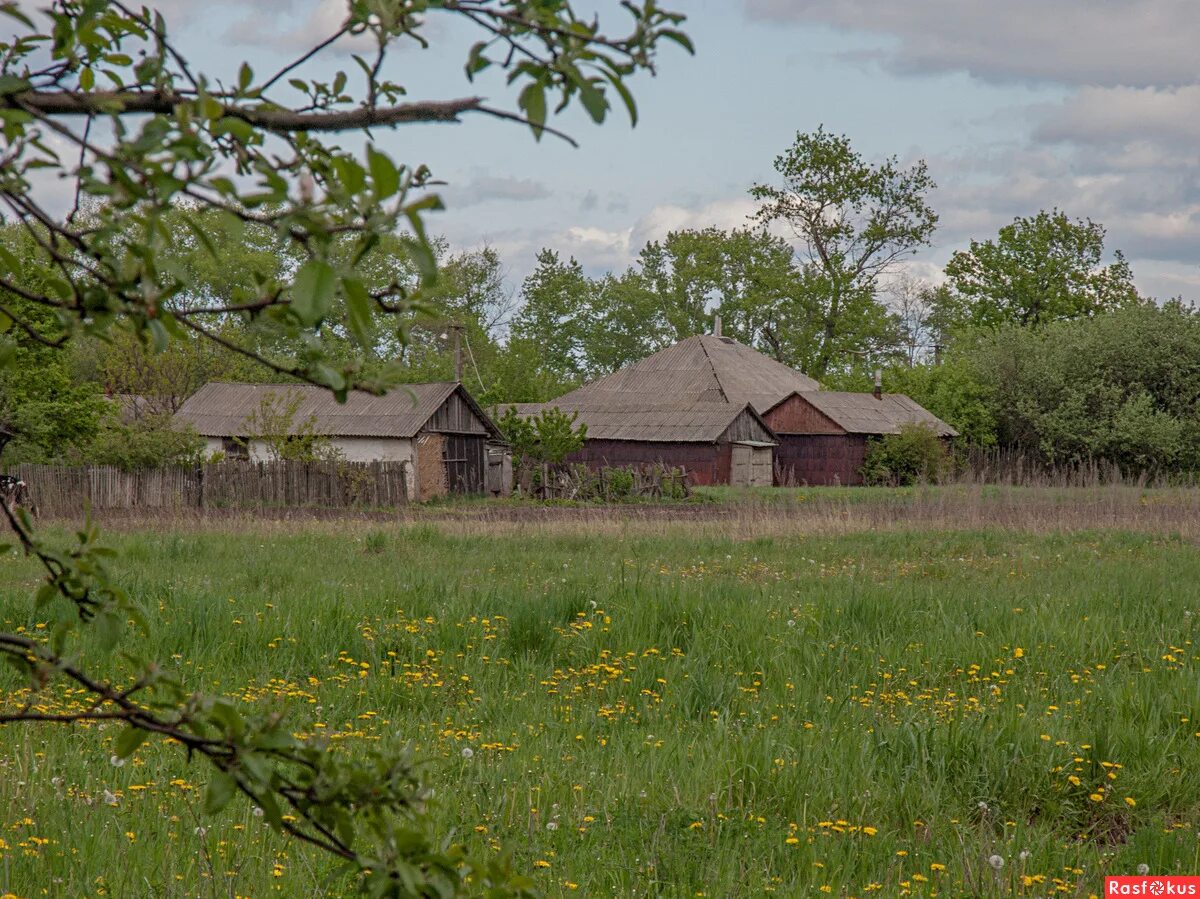 погода городище новосибирская область. на 10 дней. прогноз погоды в городище пензенской обл. погода на завтра в городище пензенской области по часам. оренбургская область оренбургский район село городище.